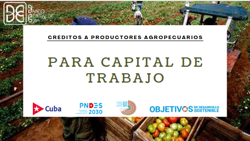 Imagen relacionada con la noticia :Créditos a productores agropecuarios para capital de trabajo